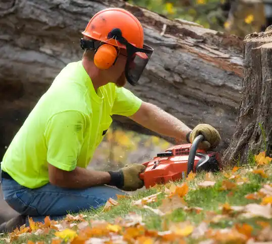 tree services Attleboro